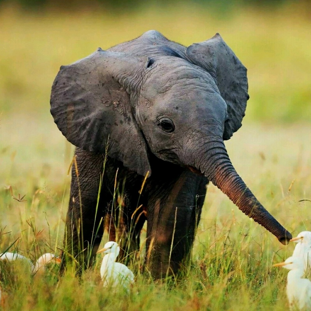 Meet your Posher, Fabiola